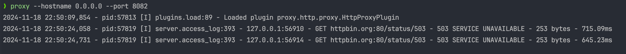 image-20241118225044328