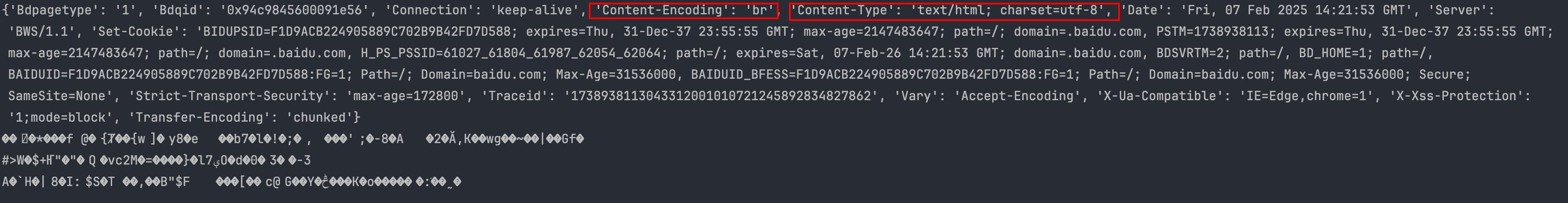 image-20250207222228784