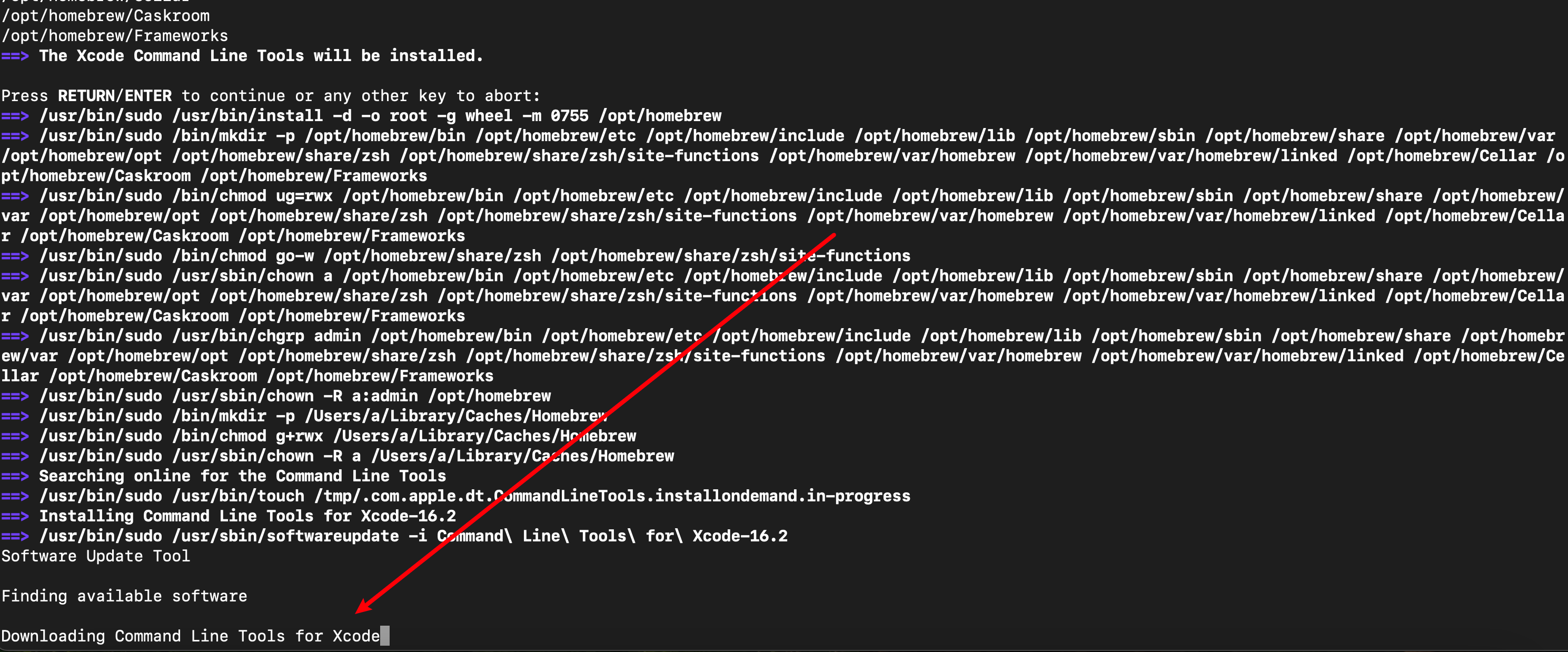 image-20250301074334271