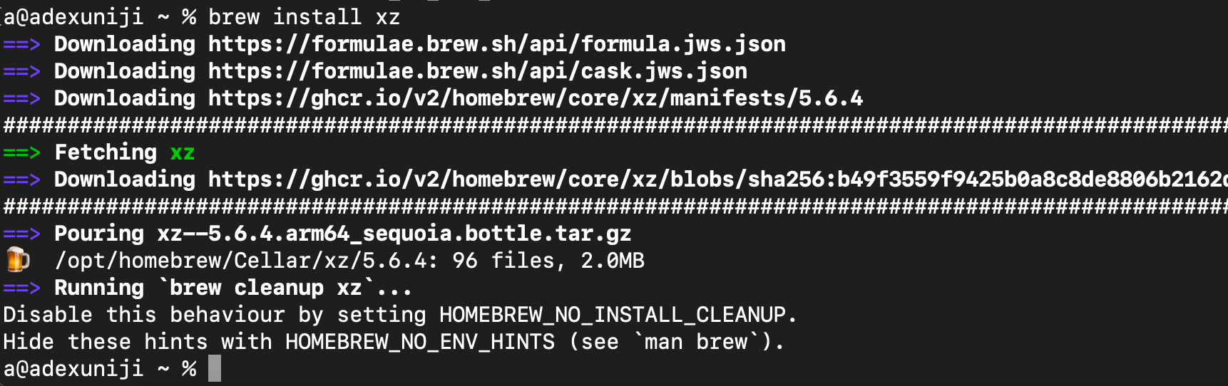 image-20250301204030864