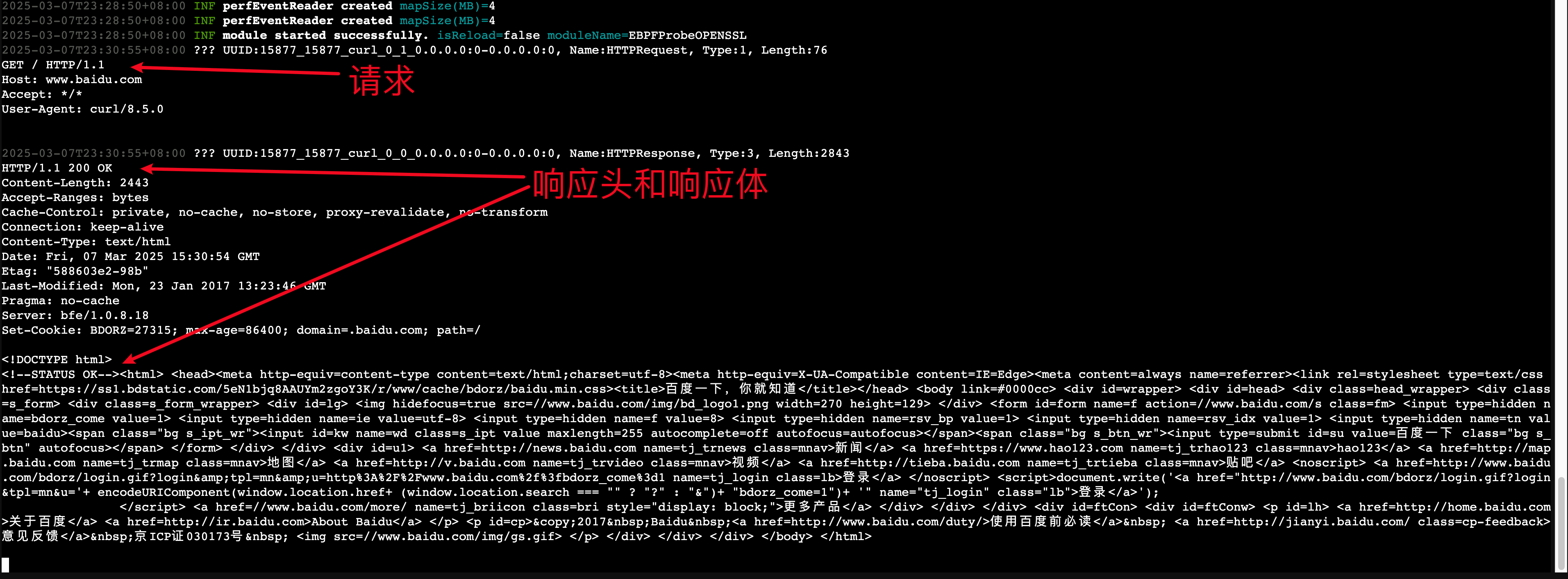 image-20250307233554417