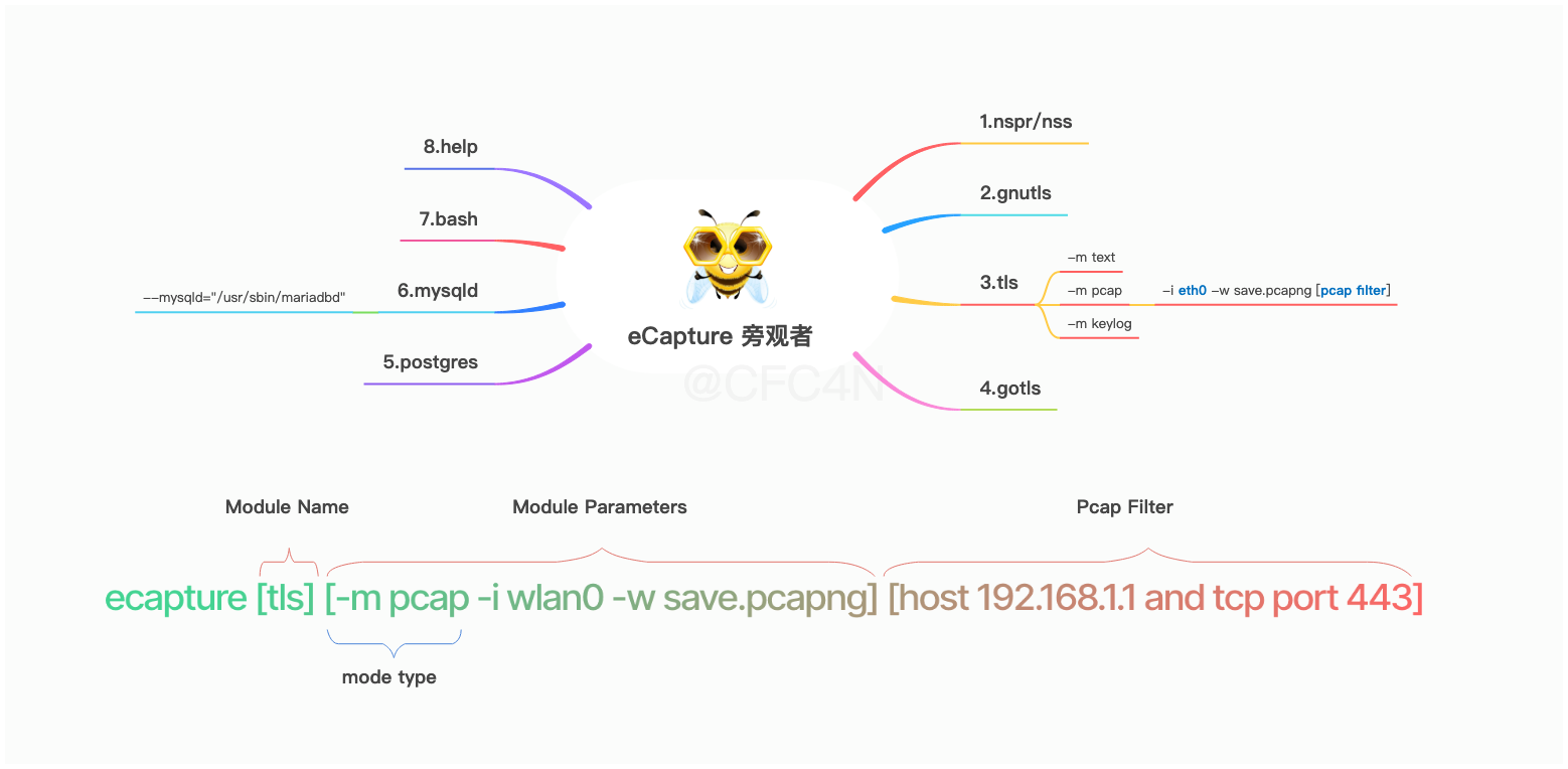 image-20250307235043455