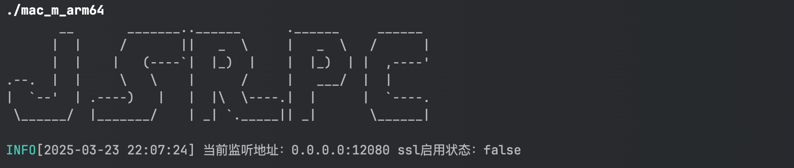 image-20250323220735873